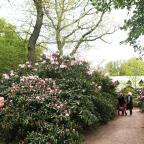 Sverigetur 5 - 16 maj 2025