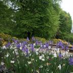 Sverigetur 5 - 16 maj 2025