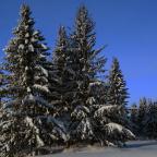 IMG_7839.JPG