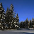 IMG_7842.JPG