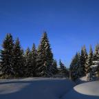 IMG_7843.JPG
