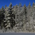 IMG_7846.JPG