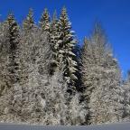 IMG_7847.JPG