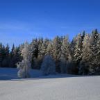 IMG_7850.JPG