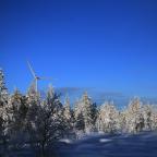 IMG_7861.JPG