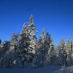 IMG_7874.JPG